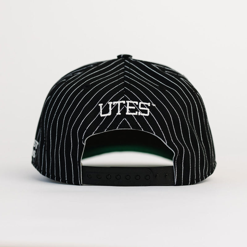 UTAH Pinstripe Adult Hat (5 Panel)